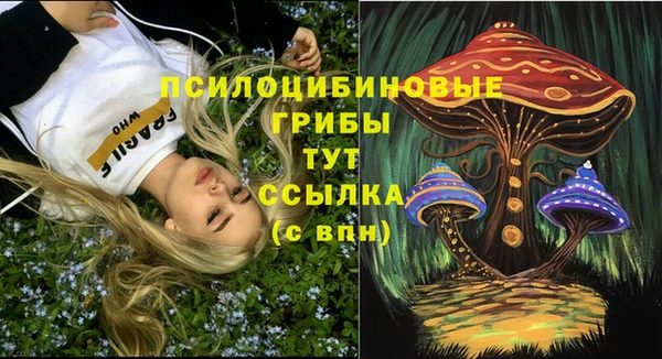 МДПВ Аркадак