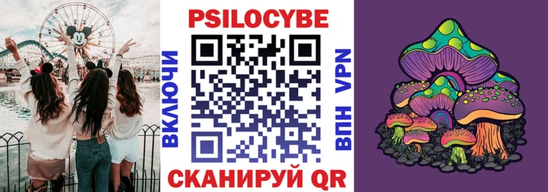Галлюциногенные грибы мицелий  купить закладку  blacksprut онион  Заозёрный 